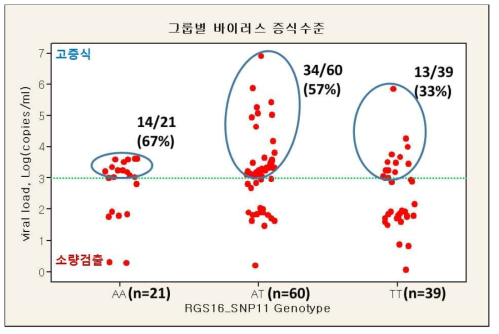 그룹별 RGS16 SNP11의 유전자형에 따른 바이러스 증식수준