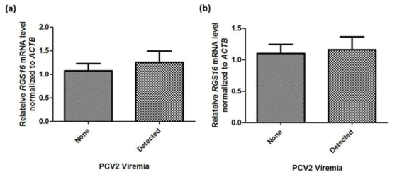 PCV2 미검출개체와 검출개체의 RGS16 발현량. (a) 간, (b) 비장