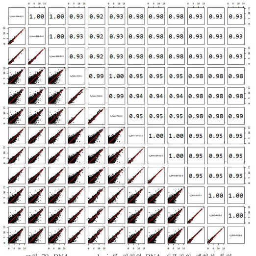 RNA-seq analysis를 진행한 RNA 샘플간의 재현성 확인