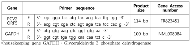 PCV2 ORF5 유전자 발현 확인에 사용된 primer set