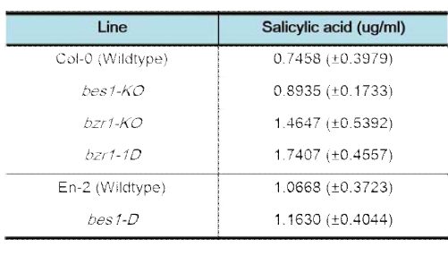 BR 신호전달 mutant 내 salicylic acid 함량분석 결과