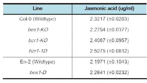 BR 신호전달 mutant 내 jasmonic acid 함량분석 결과