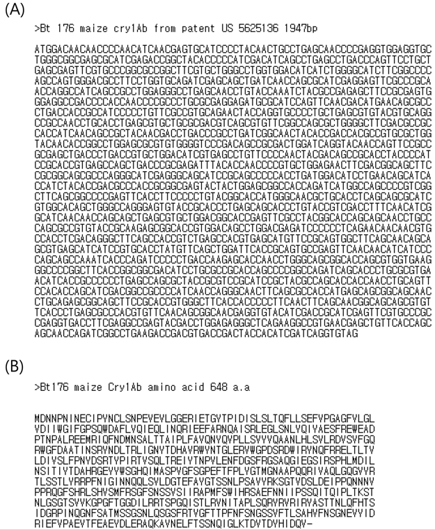 SYN-EV176-9 Cry1Ab 유전자의 nucleotide sequence (A)와 amino acid sequence (B)