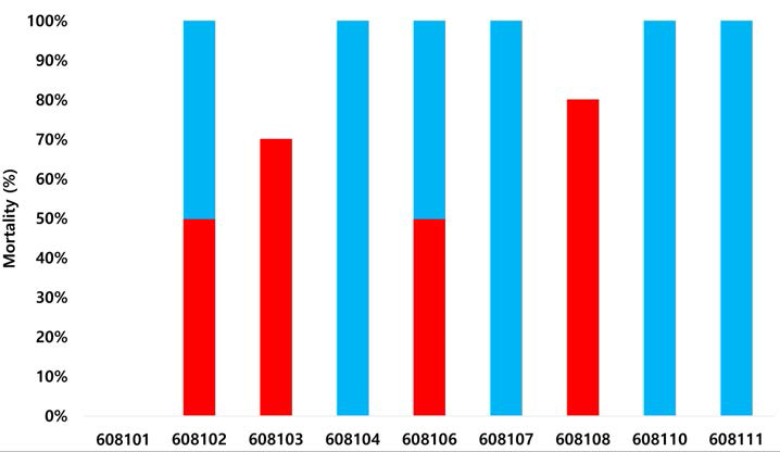 혹명나방 3령 유충에 대한 T3 세대 Bt 벼 (RbcS3:Cry1Ac) 8개 Event의 살충률. 빨간 막대는 Event 섭식으로 인한 살충률을 나타내며, 파란 막대는 섭식거부로 인한 살충률을 나타낸다. 살충률은 접종 후 5일 째 측정하였다