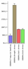 Os01g19800의 microarray data; 출처: http://signal.salk.edu/cgi-bin/RiceGE