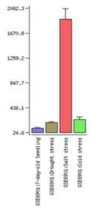 Os03g32230 의 microarray data; 출처: http://signal.salk.edu/cgi-bin/RiceGE