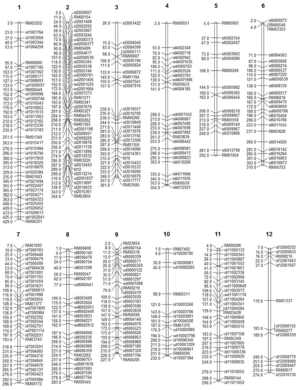 Linkage map of Goami2 x Milyang23 mapping population composed with 112 F2 progenies. A total of 324 SNP or SSR markers having the information from e-Landings on the Rice Pseudomolecule ‘Os-Nipponbare- Reference- IRGSP-1.0’ were used