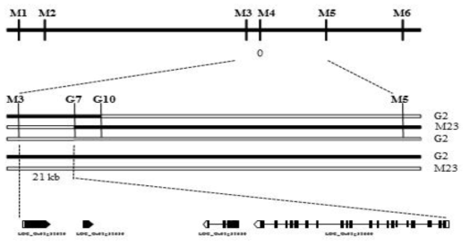 Narrow down target gene