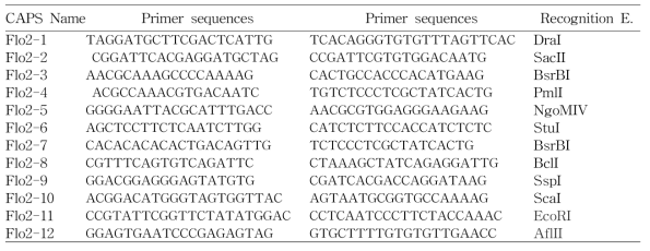 Summary on SNP marker Development