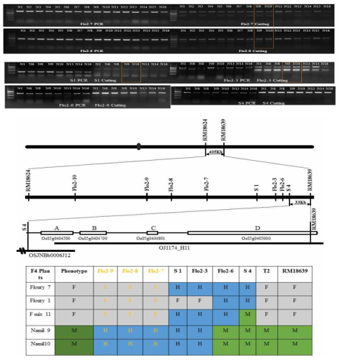 Narrow down target gene.