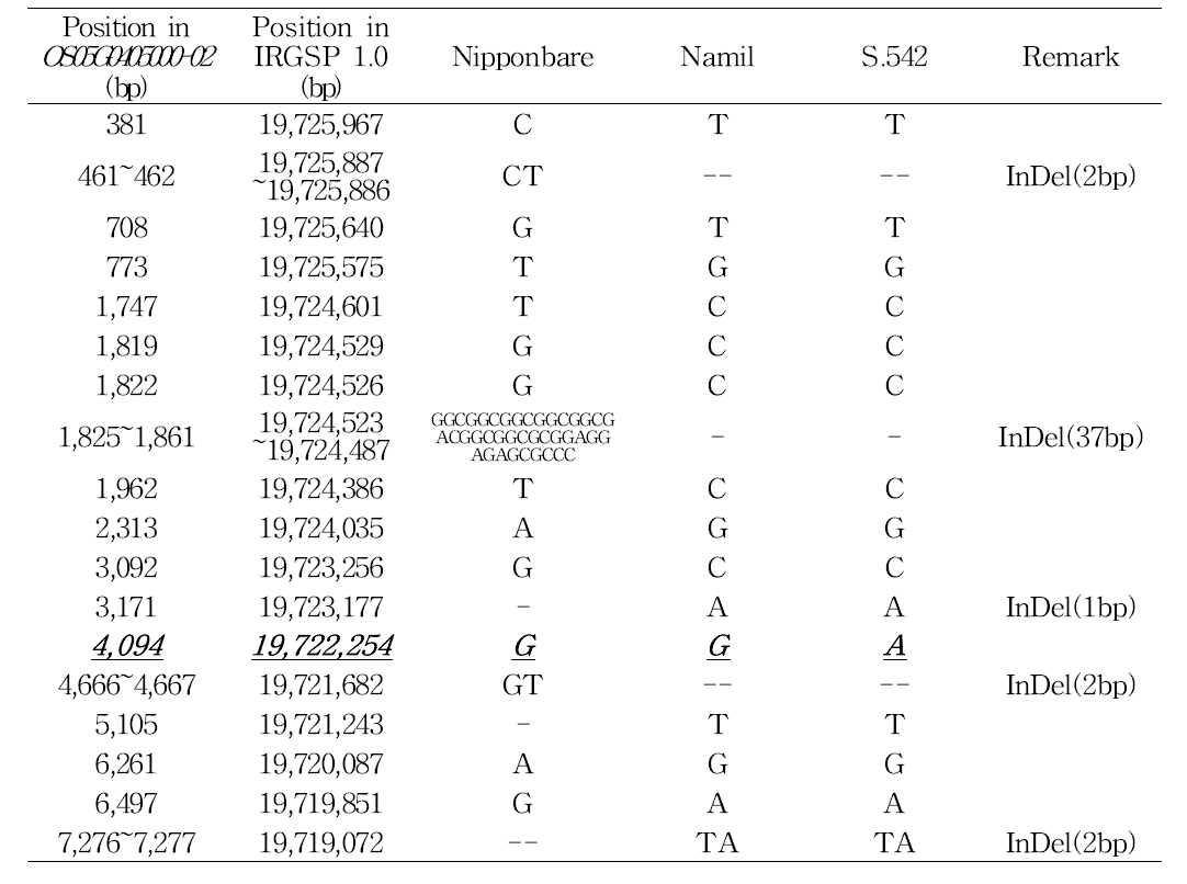 Information on sequence variants of Nippenbare, Namil and Namil(SA)-flo2 within the PPDK1 gene