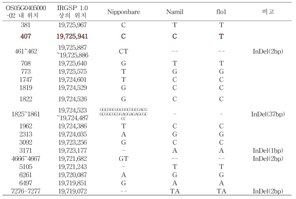 Information on sequence variants of Nippenbare, Namil and Namil(SA)-flo1 within the PPDK1 gene