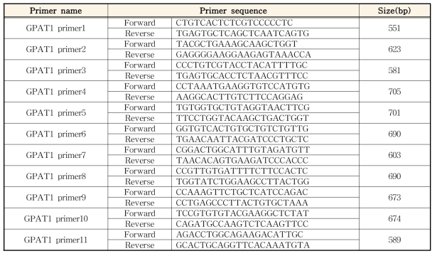 GPAT1 유전자의 primer 정보