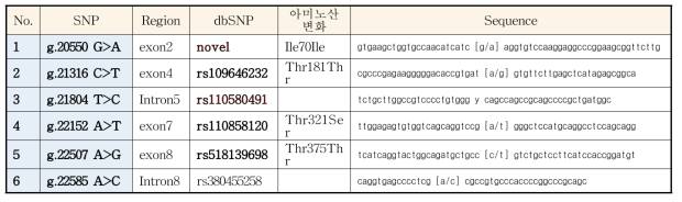 ATGL 유전자에서 발굴된 SNP들의 정보