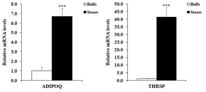 한우 수소와 거세우의 등심에서 근내지방도 조절 유전자들의 mRNA 발현수준 Values are mean + SE. n = 10. ***: P < 0.001