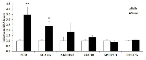 한우 수소와 거세우의 등심에서 지방산조성 조절 유전자들의 mRNA 발현수준 Values are mean + SE. n = 10. *: P < 0.05; *: P < 0.01