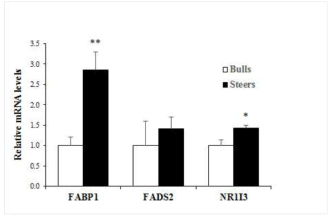 한우 수소와 거세우의 간에서 사료섭취량 관련 유전자들의 mRNA 발현수준 Values are mean + SE. n = 10. *: P < 0.05; **: P < 0.01