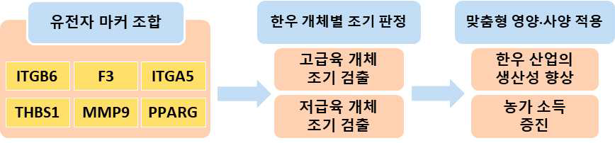 유전자 마커 조합을 통한 한우 개체 선별 및 맞춤형 영양·사양 적용