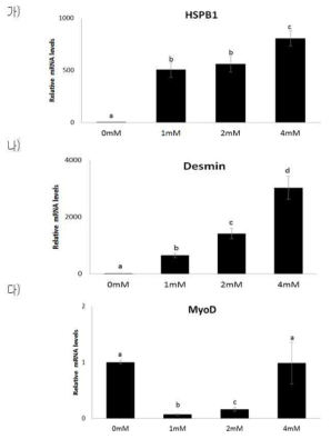 L-glutamine 처리 농도에 따른 BEFS-MyoD 세포 분화단계의 mRNA 발현량 (가) HSPB1 mRNA 발현량 (나) Desmin mRNA 발현량 (다) MyoD mRNA 발현량 Means ± SD (n = 3, P < 0.01)