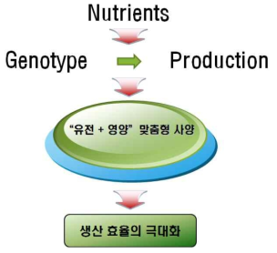 유전정보 맞춤형 영양·사양 기술을 통한 생산효율 극대화