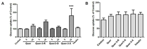 Effect of natural flavonoid and its glycosylated derivatives on activitiy of gluocose uptake in (A) differentiated 3T3-L1 adipocyte and (B) differentiated murine C2C12 skeletal muscle cells. Confluent preadipocytes were cultured with DMEM containing dexamethasone (0.25 μM), insulin (1 μg/ml), IBMX (0.5 mM) for 2 days. Cell culture media were then changed with fresh DMEM containing insulin (1 μg/ml) and changed every other day with fresh DMEM containing insulin (1 μg/ml) for 7 days. Confluent C2C12 skeletal myoblasts were cultured with DMEM containing 2% horse serum and culture media were changed everyday for 7 days to induce the muscle cells differentiation. After differentiation, the cells were starved in serum free DMEM containing low glucose for 24 h and natural flavonoid and its glycosylated derivatives were treated for another 4 h. Cells were washed 3 times with serum free, glucose free DMEM media and glucose uptake was assayed using 2-NBDG fluorometrically. 100 nM insulin was used as a positive control. Each value was expressed as the means ± SE (n = 3)