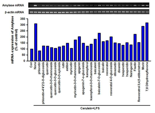 Effects of natural flavonoids and their glycosylatged derivatives on amylase mRNA expression in pancreatic acinar AR42J cells treate with Cerulein plus LPS. AR42J cells were incubated with 100μM Natural flavonoids or their glycosylated derivatives in presence of or absence of 10-7 M cerulein plus 10 μg/ml LPS for 24 h