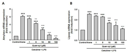 Effects of Quercetin-O-xyloside (Quer-xyl) on mRNA expressions of Amylase and Lipase in pancreatic acinar AR42J cells treated with cerulein plus LPS for 8 h. Quantitative real tiem PCR was carried out to determine the mRNA levels of exocrine enzymes, amylase (A) and lipase (B), after 10-7 M cerulein and 10 μg/ml LPS stimulation in presence of or absence of Quercetin-O-xyloside. Data are expressed as mean ± SEM. *P <0.05, **P < 0.01, ***P < 0.001 vs control; +P < 0.05, ++P < 0.01, +++P < 0.001 vs cerulein + LPS alone