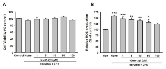 Effect of Quercetin-O-xyloside (Quer-xyl) on the cell viability and ROS production in pancreatic acinar AR42J cells treated with cerulein plus LPS. (A) Cell viability of AR42J cells were assessed using MTT assay after 24 h-exposure with increasing concentrations of Quercetin-O-xyloside. The data are expressed as a percentage of untreated control cells. Data are the mean ± SEM. (B) Generation of ROS in AR42J cells were determined by CM2-DCFDA using the fluorometric method. The data are expressed as a percentage of untreated control cells. Data are the mean ± SEM.*P < 0.05, **P < 0.01, ***P < 0.001 vs control; +P < 0.05 vs cerulein + LPS alone