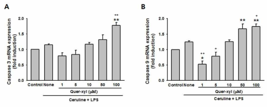 Effects of Quercetin-O-xyloside (Quer-xyl) on mRNA expressions of Caspase 3 and Caspase 9 in pancreatic acinar AR42J cells treated with cerulein plus LPS. Quantitative real tiem PCR was carried out to determine the mRNA levels of caspase 3 (A) and caspase 9 (B), after 10-7 M cerulein and 10 μg/ml LPS stimulation in presence of or absence of Quercetin-O-xyloside. Data are expressed as mean ± SEM. *P < 0.05, **P < 0.01 vs control; +P < 0.05, ++P < 0.01 vs cerulein + LPS alone