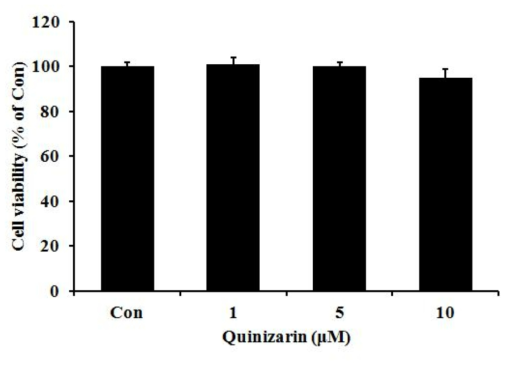 Effects of quinizarin on the viability of 3T3-L1 preadipocyte cells. Cells were cultured in DMEM containing quinizarin (0, 1, 5, and 10 μM) for 24 h, and cell viability was assessed with a MTT assay. The data are expressed as percentages normalized to the un-treated control (Con, 0 μM). Data are the means ± SD, n=3. *P < 0.05; **P < 0.01; ***P < 0.001, Student