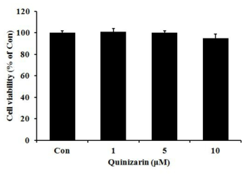 Effects of quinizarin on the viability of 3T3-L1 preadipocyte cells. Cells were cultured in DMEM containing quinizarin (0, 1, 5, and 10 μM) for 24 h, and cell viability was assessed with a MTT assay. The data are expressed as percentages normalized to the un-treated control (Con, 0 μM). Data are the means ± SD, n=3. *P < 0.05; **P < 0.01; ***P < 0.001, Student´s t-test compared to Con.