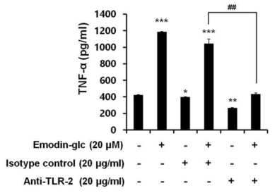 Emodin 3-O-glc stimulates RAW264.7 cells via the TLR-2 signaling pathway. Cells were pre-treated isotype antibody (20 μg/ml) or anti-TLR-2 antibody (20 μg/ml) for 1 hour and then stimulated with Emodin 3-O-glc (20 μM) for 24 hours. TNF-α in the culture supernatants were determined by ELISA. Data = mean ± SD, n=3. *, p<0.05; **, p<0.01; ***, p<0.001, student’s t-test compared to the control without Emodin 3-O-glc or antibody-only treated cells, respectively. ##, p<0.001, student’s t-test compared to the Emodin 3-O-glc plus isotype antibody treated cells