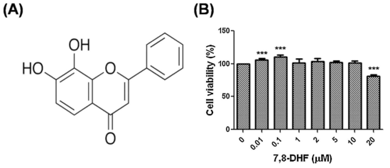 Effects of 7,8-Dihydroxyflavone (7,8-DHF) on Hs68 cell viability. (A) Structure of 7,8-DHF. (B) The cell viability was measured with the MTT assay. Cell viability was recorded as the percentage (%) of viable cells relative to 7,8-DHF-untreated control cells. The values are the means ± SD, n = 3. *P < 0.05; **, P < 0.01;***, P < 0.001, Student´s t-test compared with untreated cells.