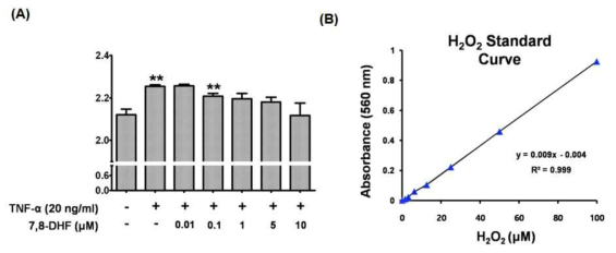 Effects of 7,8-dihydroxyflavone (7,8-DHF) on the cellular hydrogen peroxide (H2O2) level in TNF-α-treated Hs68 cells. (A) To quantify the amount of hydrogen peroxide secreted to the culture media, cell culture media was obtained by centrifuge (10,000 rpm, 5 min) after 18-h treatment with increasing concentrations of 7,8-DHF (0-10 μM) in the TNF-α-treated cell. (B) Hydrogen peroxide (H1009, Sigma, USA) was used as the standard material for quantification of H2O2 change in the cells. Data = means ± SD, n = 3. *, P < 0.05; **, P < 0.01; ***, P < 0.001, Student´ s t-test