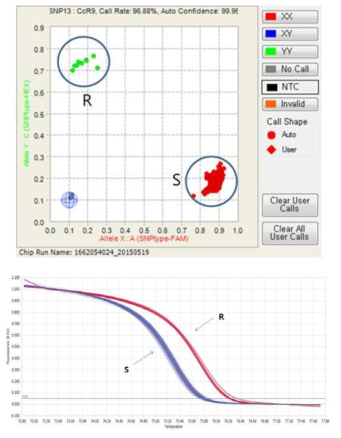 CcR9-Fluidigm(위)와 CA09g19170-HRM(아래)