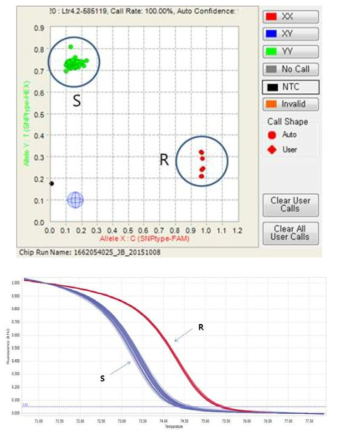 Ltr4.2-585119-Fluidigm(위)와 Ltr4.2-585119-HRM(아래)