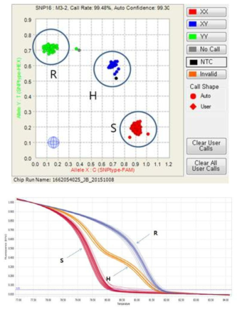 M3-2-Fluidigm(위)와 M3-HRM(아래)