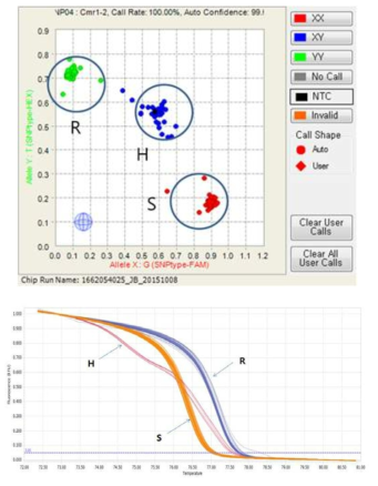 Cmr1-2-Fluidigm(위)와 CaTm1-HRM(아래)