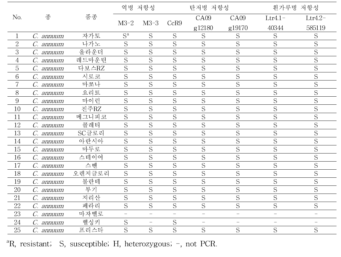 파프리카 25개 상용품종 역병, 탄저병, 흰가루병 분자표지 분석 결과