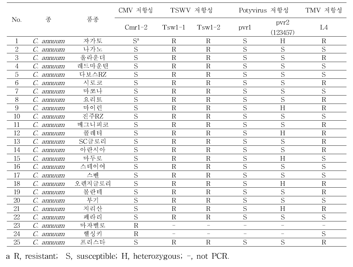 파프리카 25개 상용품종 CMV, TSWV, TMV 및 potyvirus 분자표지 분석 결과