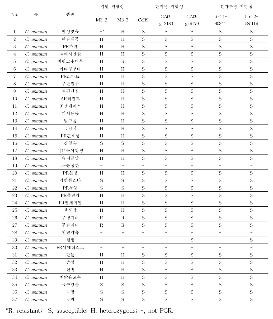 고추 37개 상용품종 역병, 탄저병, 흰가루병 분자표지 분석 결과