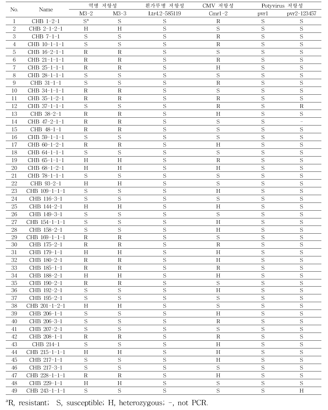 CHB 집단 후대의 역병, 흰가루병, CMV, Potyvirus 분자표지 분석 결과