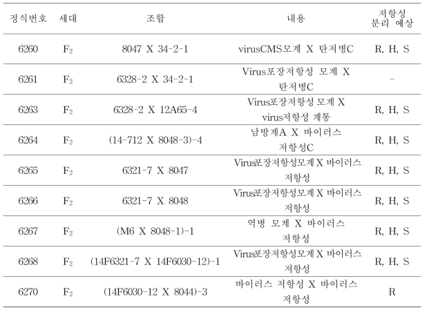 CMV-P1 HR 연관 분자 표지의 적용 복합내병성 집단