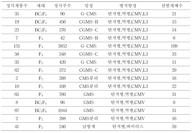 복합내병성 계통 육성용 선발결과