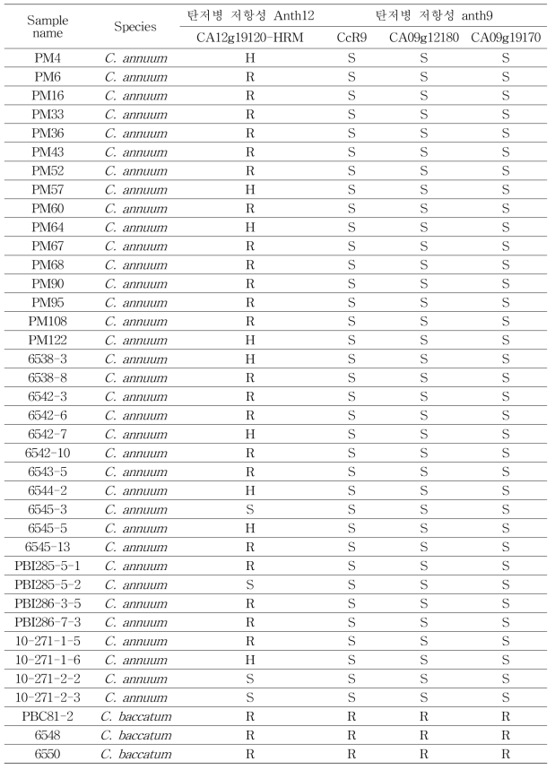 육성된 계통들의 탄저병 저항성 분자표지 분석결과
