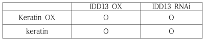 IDD13과 keratin 변이와 과발현 간의 교배 조합