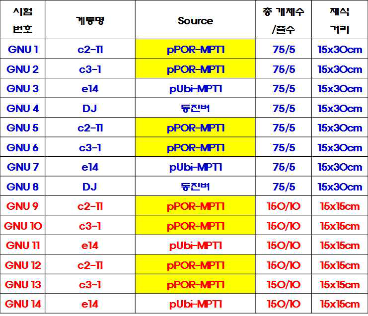 포장 밀도에 따른 수량성 검증을 위한 pPOR-MPT1과 pUbi-MPT1 계통