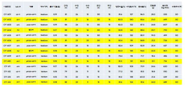 포장 밀도에 따른 pPOR-MPT1과 pUbi-MPT1 계통의 수량 요소