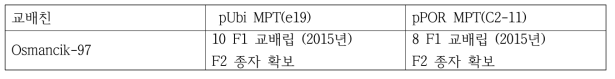 Osmancik-97과 MPT1 과발현 계통간의 F1 와 F2 종자 확보 (경북대 이기환박사와의 공 동연구)