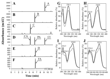 HPLC를 이용한 cinnamic acid (A), p-coumaric acid (B), caffeic acid (C), ferulic acid의 합성 확인. D는 caffeic acid (CA), p-coumaric acid (PA), cinnamic acid (CI) standard. F는 ferulic acid standard. Cinnamic acid (G), p-coumaric acid (H), caffeic acid (I), ferulic acid (J)들의 standard와 합성물의 UV spectrum